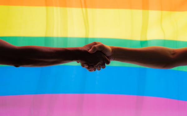 Stratégie de promotion et d'intégration des homosexuels: L'agenda machiavélique des LGBT