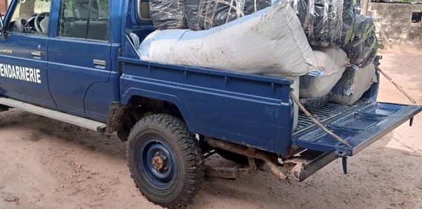 La gendarmerie saisit 245 kg de chanvre indien à Thionk Essyl