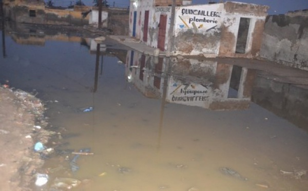 [VIDEO] Saint-Louis inondée : Plusieurs quartiers pataugent. Regardez