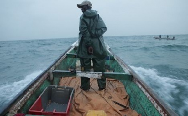 Raréfaction du poisson: les pêcheurs de Guet Ndar dans la détresse.