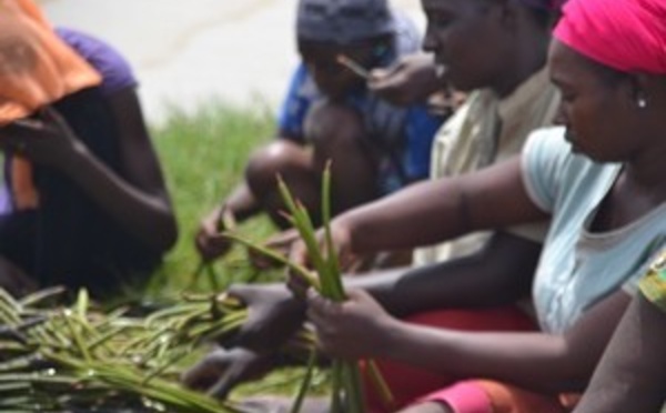 [VIDEO] Le film de la mobilisation de Diele Mbame contre l’érosion côtière. Regardez.