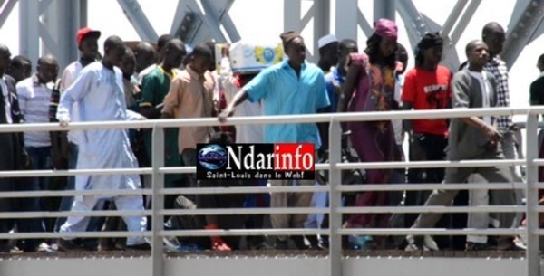 2 rakkas de St-Louis: Dense trafic sur le pont Faidherbe. Regardez