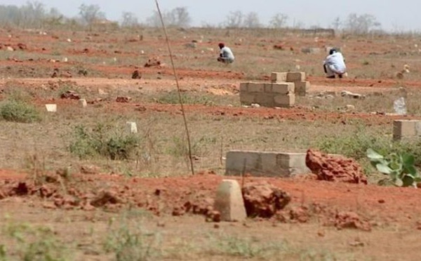 Boulimie foncière : un ex-Receveur des Domaines possède 315 terrains