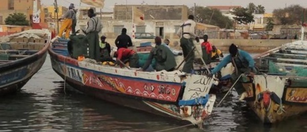 Saint-Louis: Bamba Dièye annonce la création d’une radio communautaire pour Guet Ndar.