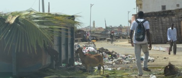 Goxumbathie : des montagnes puantes d’ordures peuplent la berge.