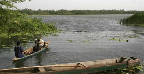 Immersion dans le lac de Guiers: A la découverte d'un trésor aquatique.