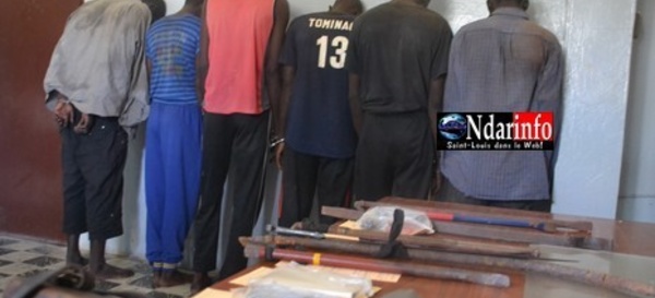 Saint- Louis - Un réseau de malfaiteurs démantelé : 5 cambrioleurs arrêtés.