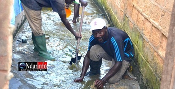 Saint-Louis : l’APR à l’assaut des inondations, à Pikine.