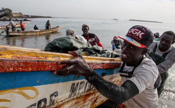 Une centaine de pêcheurs sénégalais retenus en Guinée par les garde-côtes