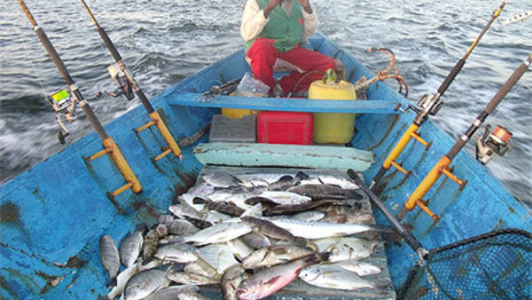 La CNUDM a été signée sans concertation avec la pêche artisanale (acteur)