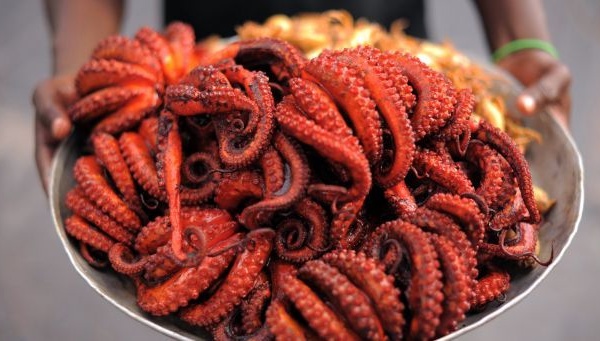 Des calamars issus d'anus de cochons? Une eurodéputée sème le doute