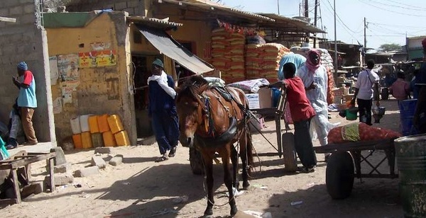 (Vidéo) Saint-Louis : Le marché Sor, un vrai problème de Santé publique.