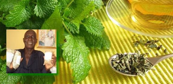 Santé: le Docteur Gaoussou Fadiga : « J'ai soigné plusieurs cas de troubles sexuels, urinaires et des problèmes de vue grâce aux plantes médicinales ».
