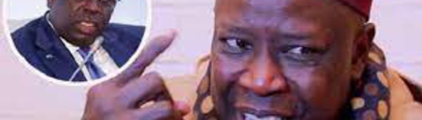 Locales 2022: « Macky dispose déjà des résultats »