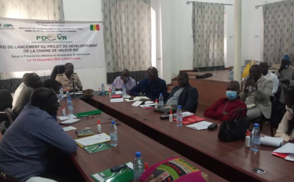 Le Projet de Développement de la Chaine de Valeur Riz lancé à Saint-Louis