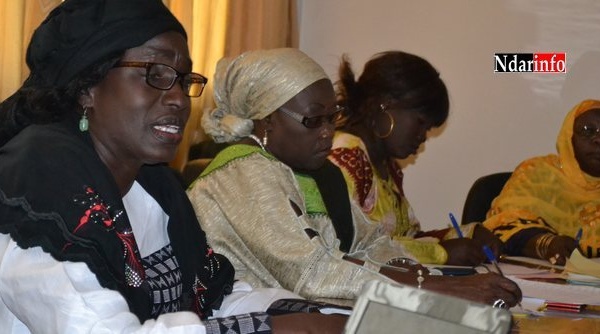 Violences faites aux femmes : un taux de 41 % enregistré à Saint-Louis (étude).