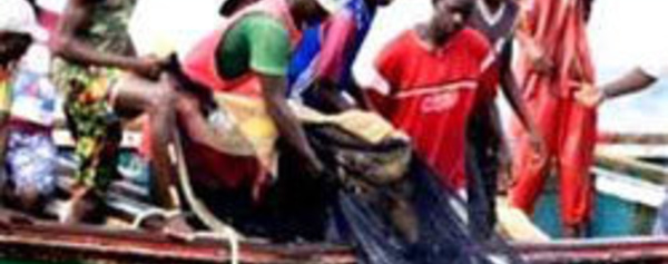 Matam : la longue agonie de la pêche fluviale