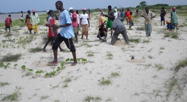 Dièle-Mbam : Quand l’ostréiculture fait vivre tout un village( Reportage).