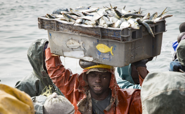 Le Sénégal renouvelle son accord de pêche avec la Guinée Bissau