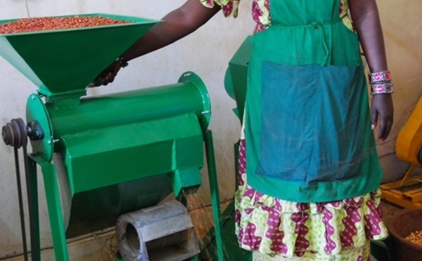 Transformation des céréales locales : Green Sénégal forme 12 femmes de Thiès et de Saint-Louis