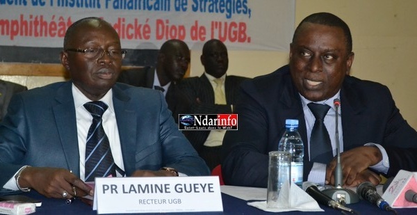 « L'hyperbalkanisation de l’Afrique se poursuit », selon le docteur Cheikh Tidiane Gadio.