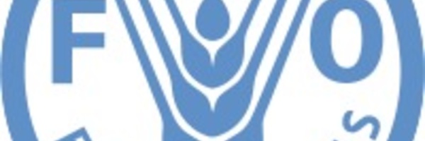 Un expert de la FAO insiste sur l'importance de l'approche éco systémique des pêches