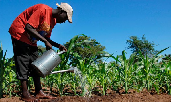 Au Sénégal, la crainte de la panne de nappe