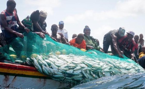 Mamadou Lamine Diallo à Macky Sall : “Le poisson devient rare et tout est exporté”