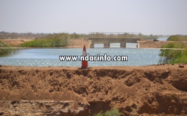 Riziculture : du matériel agricole d'une valeur de plus de 7 milliards commandé par Locafrique.