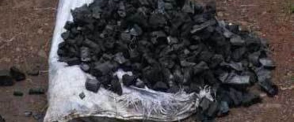 Trafic: 1.470 tonnes de charbon de bois saisies en 2012 (journal)