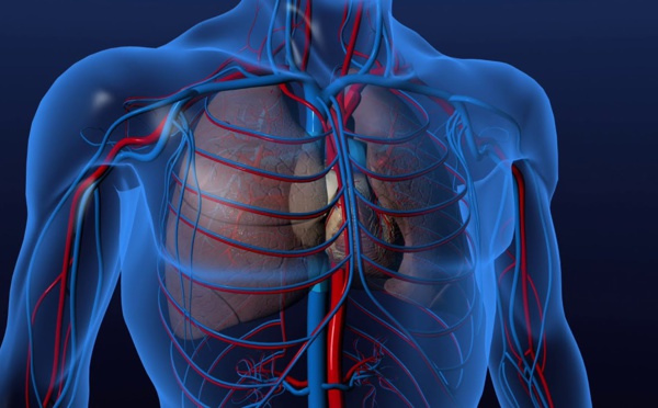 Ramadan : que se passe-t-il dans votre corps quand vous jeûnez ?