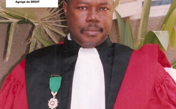 Avant-projet de Constitution : la CNRI a été guidée par l’intérêt général (membre)