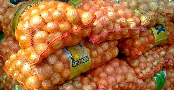 Gel des importations d'oignons : les producteurs de Matam félicitent le gouvernement.