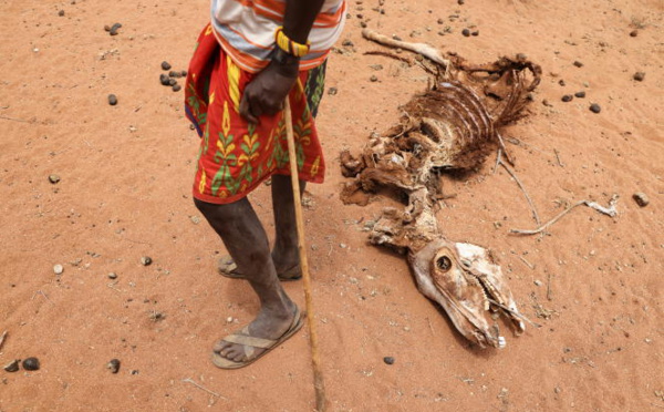 ONU : 1,39 milliard de dollars pour aider la Corne de l'Afrique à lutter contre la famine