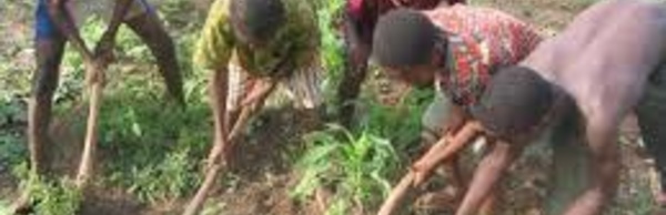 Trafic d’enfants : Un camion arrêté au Sénégal avec 22 jeunes guinéens