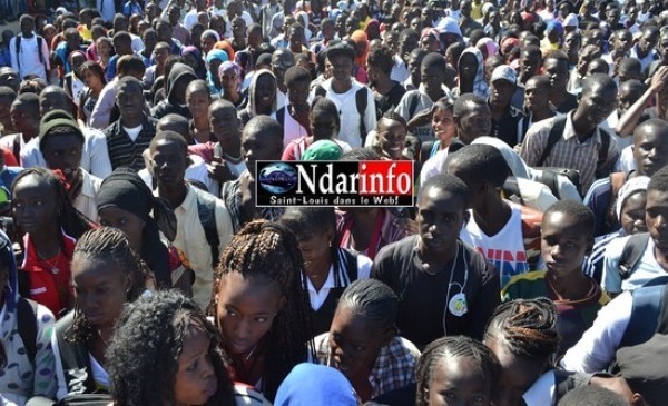 Manque de Profs au lycée de Ngallèle : très mécontents, les élèves bloquent la RN2.