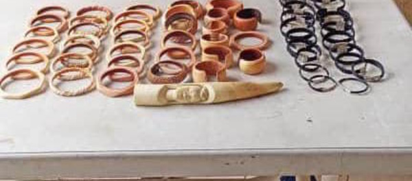 CRIMINALITE FAUNIQUE : Trafic d'Ivoire au cœur de Dakar