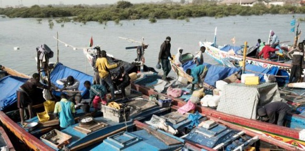 Libération des 300 pêcheurs arrêtés en Guinée : le Sénégal a casqué plus de 50 millions FCFA