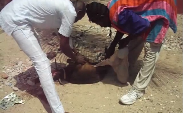 Saint-Louis - Biennale OFF : une scène jugée "occulte" sème la panique dans le quartier Sud. (Vidéo)