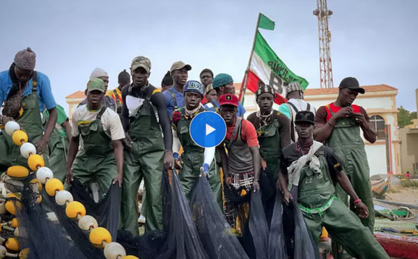 « Tôt ou tard, nos enfants prendront la route de l’Europe » : à Saint-Louis du Sénégal, à la recherche du poisson perdu