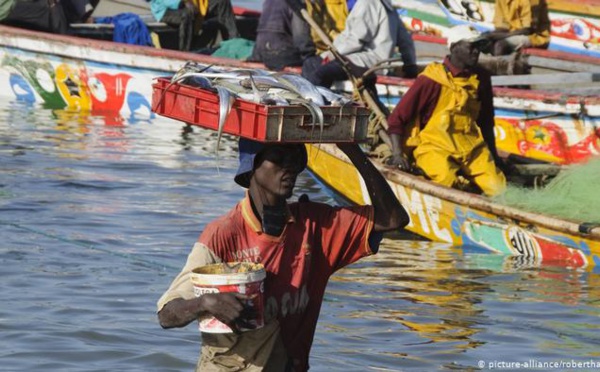 ​La pêche vit "une crise pernicieuse" – vidéo