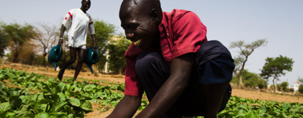 La Mauritanie annonce un soutien d'un milliard deux cents millions pour ses petits producteurs