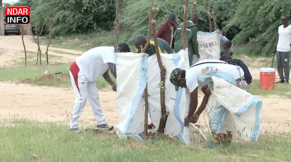 ​Faire de Boudiouck une " Cité verte" : la belle initiative citoyenne de "Voisins" - vidéo