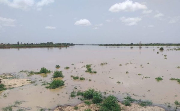 Fleuve Sénégal : la cote d'alerte dépassée à Matam