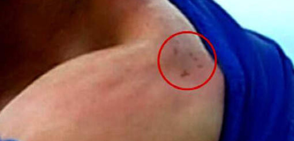 Luis Suarez sera sanctionné par la FIFA, qui ouvre une procédure disciplinaire