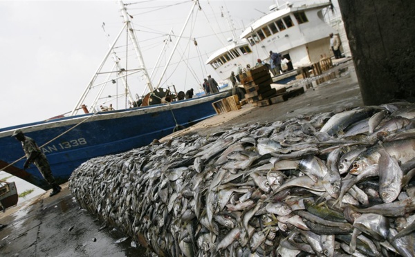 Pêche illicite : 35 à 63% des stocks péchés à des zones non durables