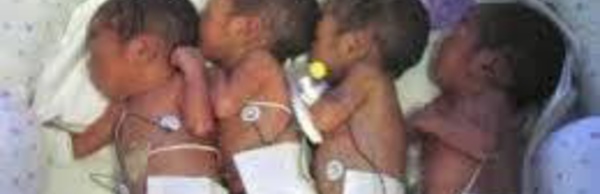 HÔPITAL DE SAINT-LOUIS : des agents de santé en gréve prennent en otage des nourrissons (vidéo)