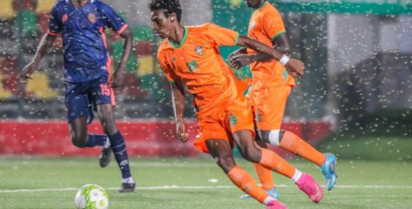 Mauritanie : un match du championnat de football arrêté après une invasion d’insectes sur le stade