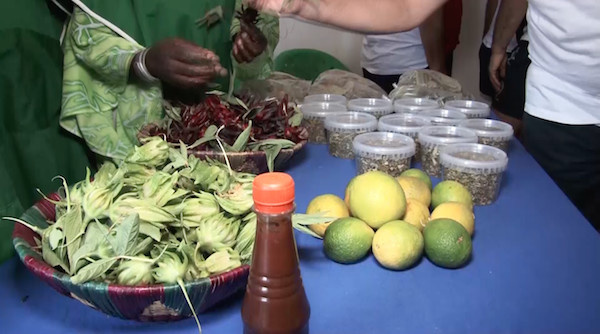 Saint-Louis : une ferme à Ndellé allie croissance économique et transformation sociale - vidéo