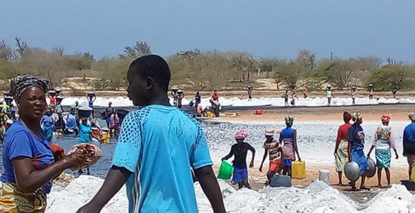 ​Le sel est une filière sous-exploitée au Sénégal
